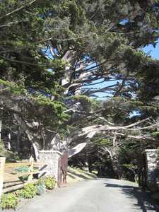 Balsons driveway 2
