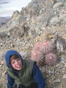 Brennan cactus