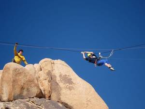 Highlight for Album: J Tree 2011