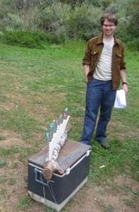 Alex and the Scout log c