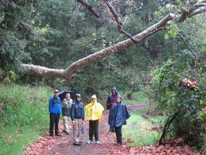 Highlight for Album: March 2011 - Santa Monica Mountains - A Rainy Day