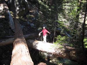 Highlight for Album: San Gorgonio May 2011